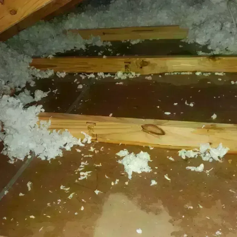 Attic Water Damage in Leola, SD